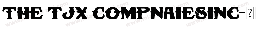 THE TJX COMPNAIESINC字体转换
